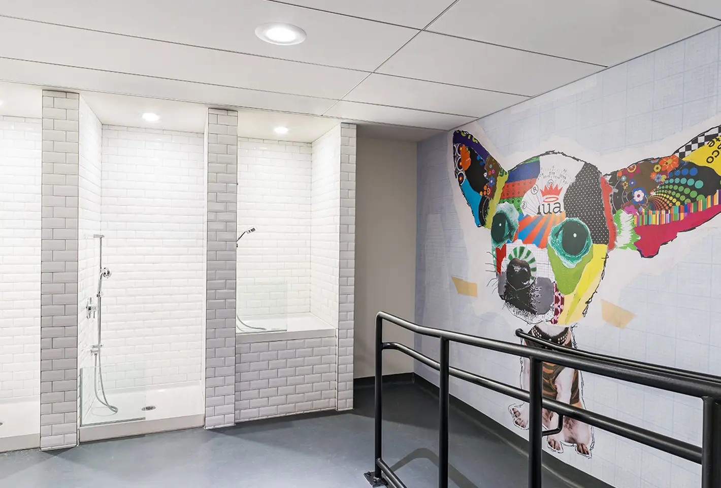 Pet spa facility featuring dog wash stations and vibrant mural of a colorful Chihuahua