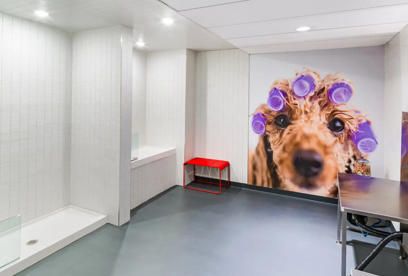 Bright pet grooming space with tiled dog washing areas and unique wall artwork of a dog