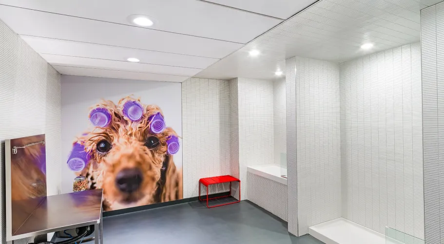 Pet spa featuring modern tiled walls, grooming stations, and playful wall art of a dog