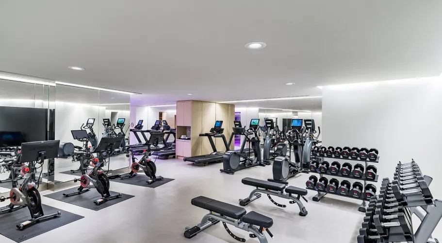 Fully equipped gym with treadmills, exercise bikes, and weightlifting equipment in a modern space