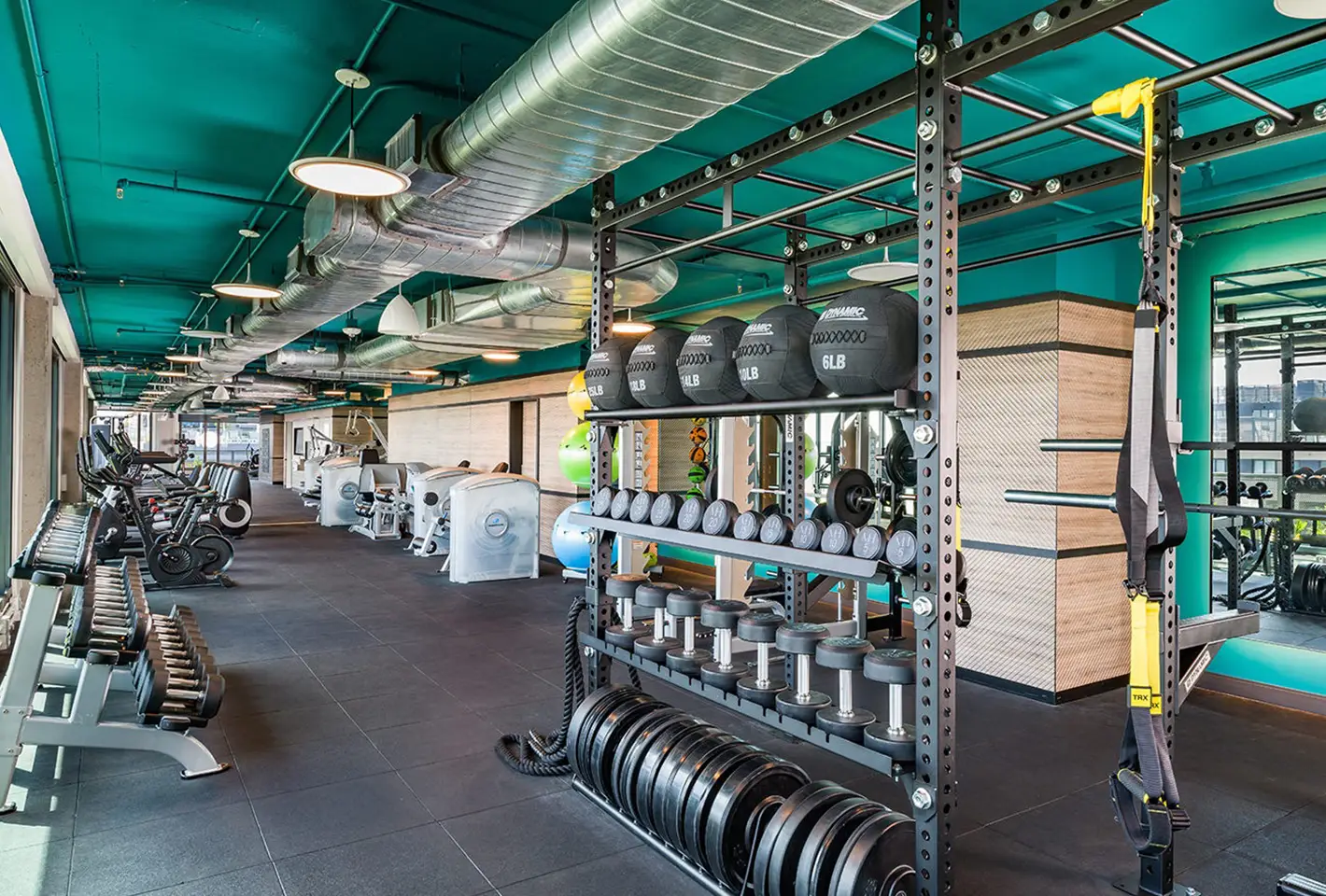 Contemporary gym with free weights, advanced training equipment, and spacious workout zones
