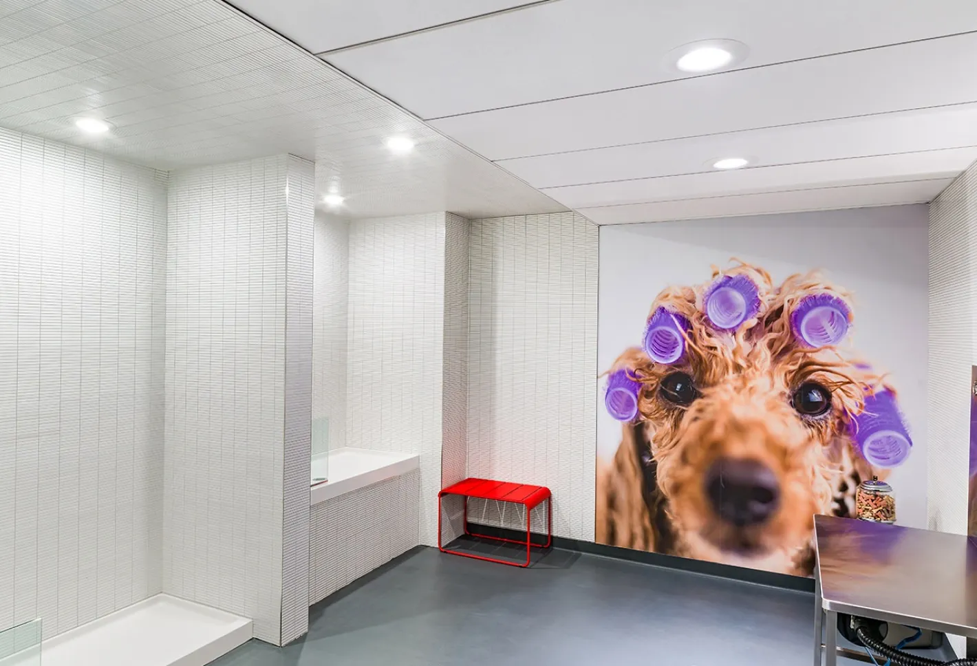 Bright pet spa with modern bathing area and colorful wall art featuring a playful dog